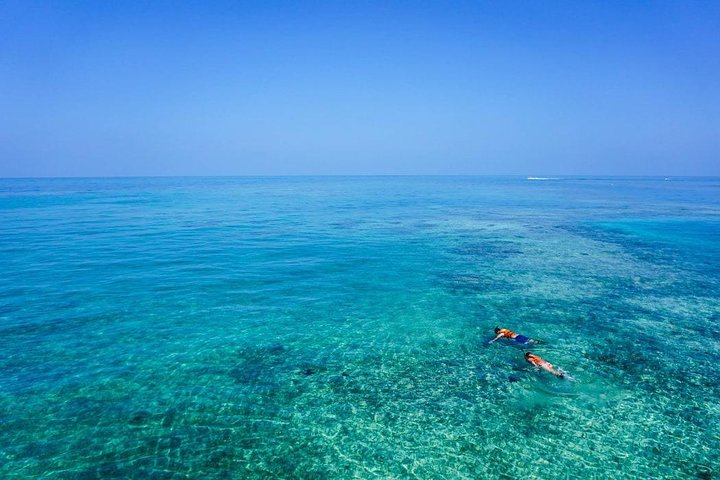 Turtle Town Snorkel with Photo and Video - Photo 1 of 10